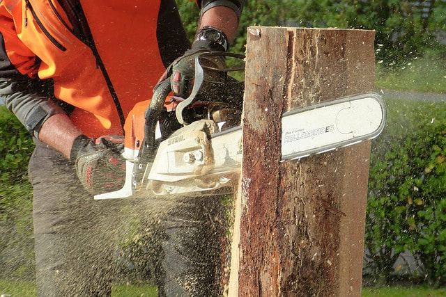 A chainsaw vertically cutting through a stump