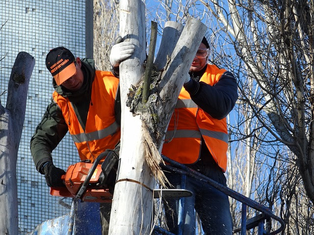 two emergency tree workers removing a hazard tree that has been damaged in a storm