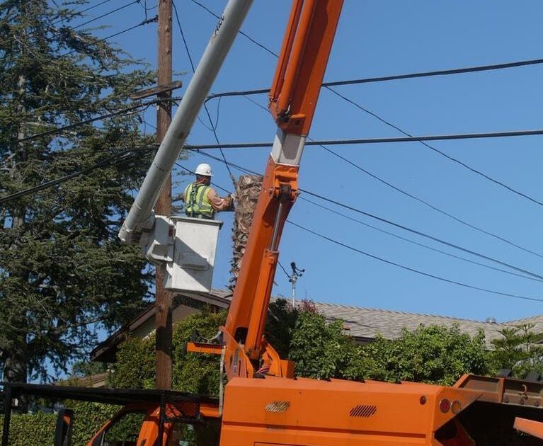 Two men in a crane trimming tree branches that are interfering with a power line